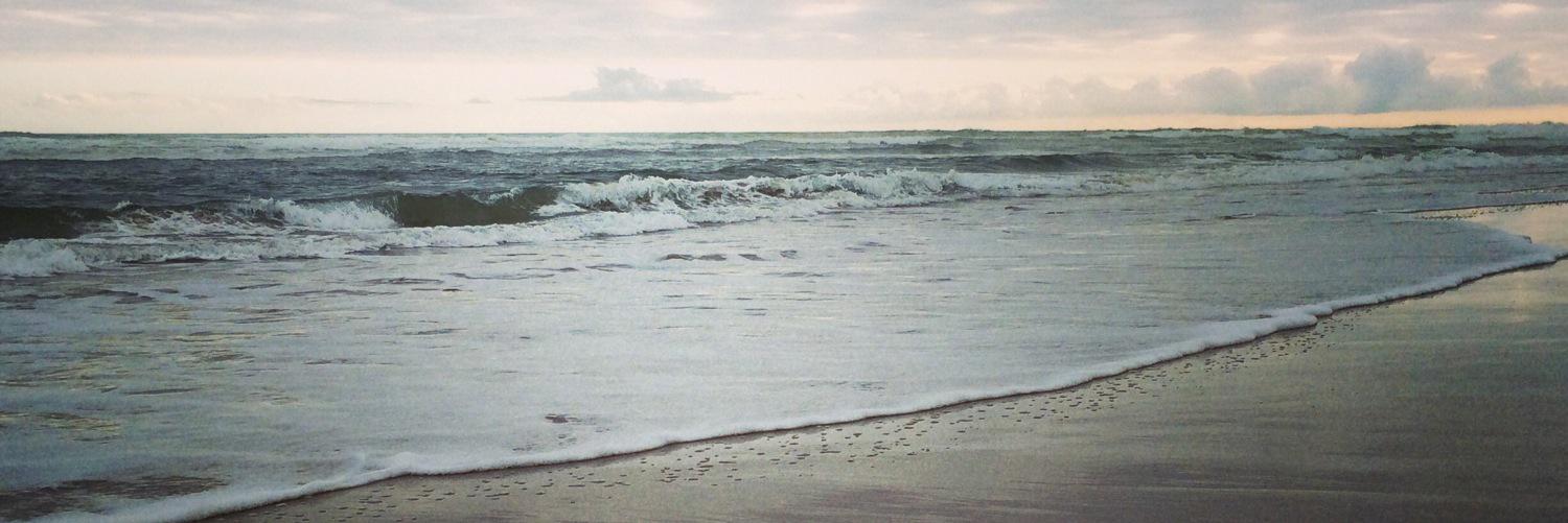 truidabotha's profile banner image
