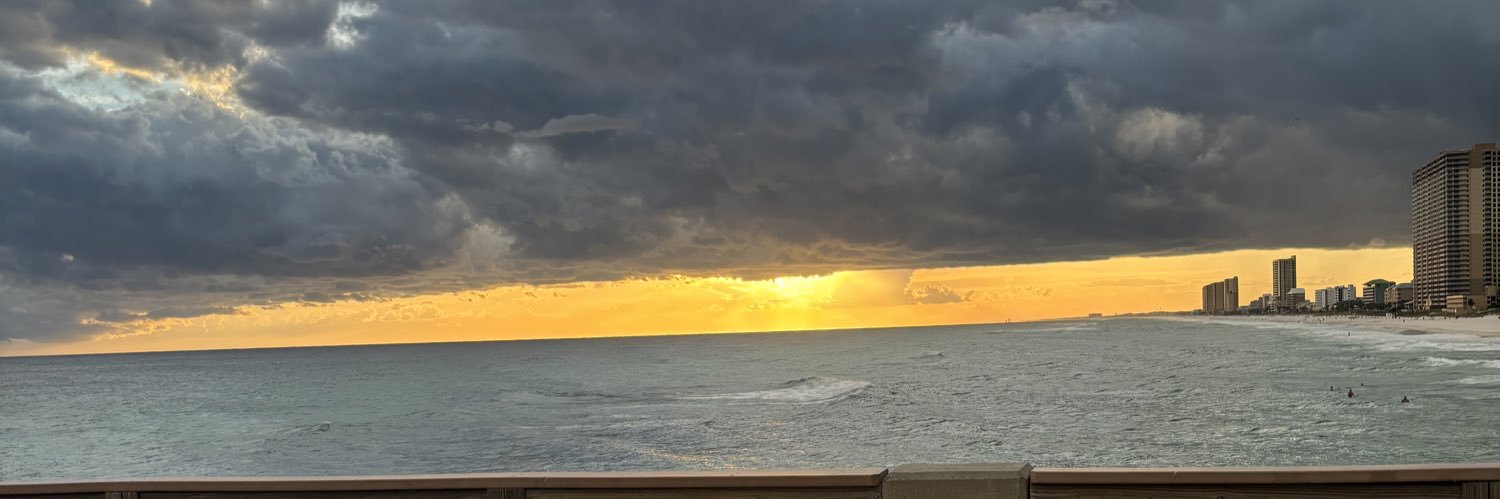 olivia_sevic's profile banner image