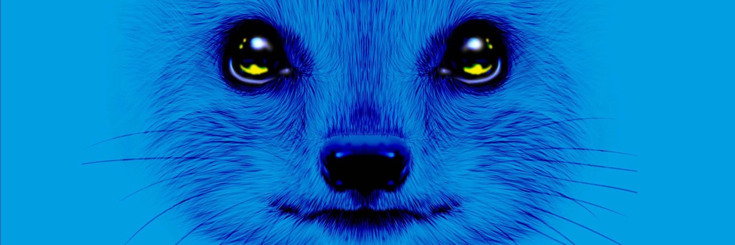 Mongoose Agency banner