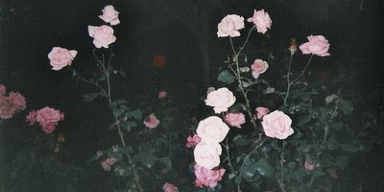 kodelin3's profile banner image