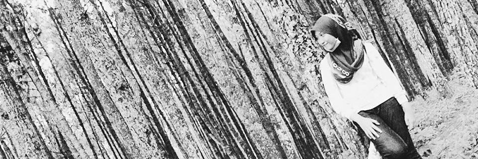 febriyanti63's profile banner image