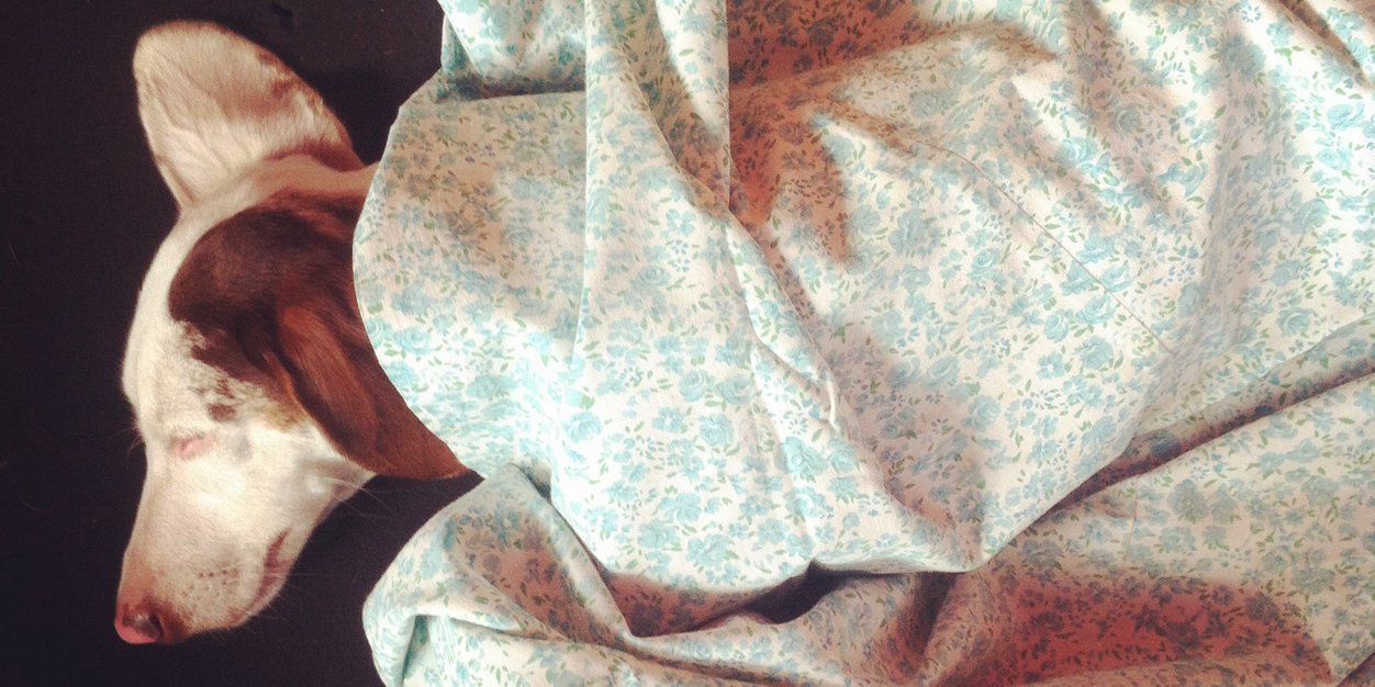 sendmie's profile banner image