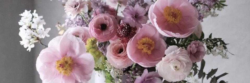 LauraAntonG's profile banner image