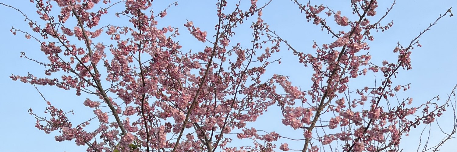 Callam James Weldon banner