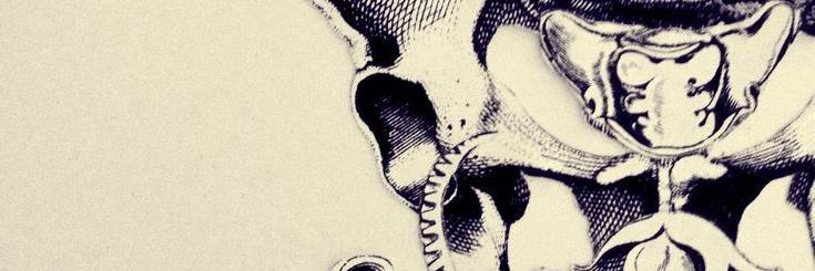 R_9AM_251LAB's profile banner image