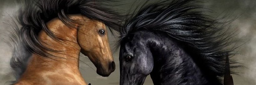 Kk200016's profile banner image
