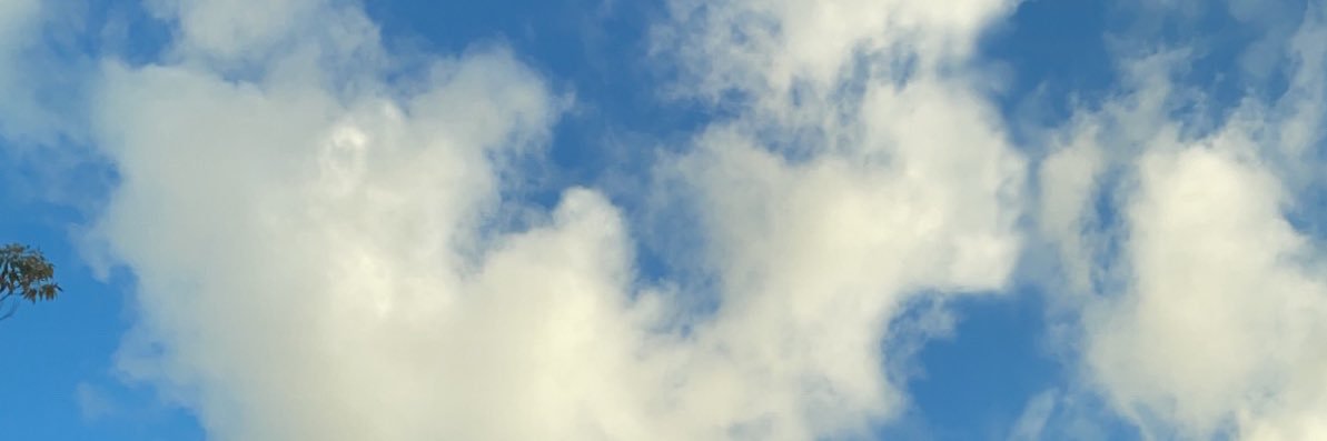 potchichi's profile banner image