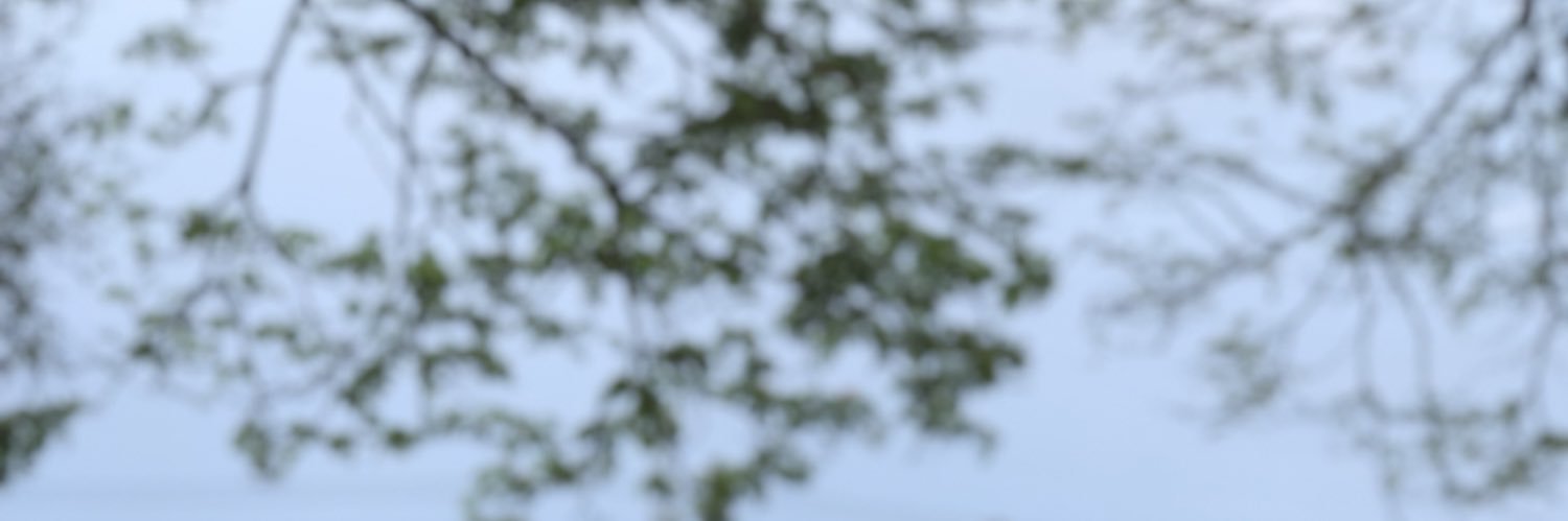 kaiyisy4h's profile banner image