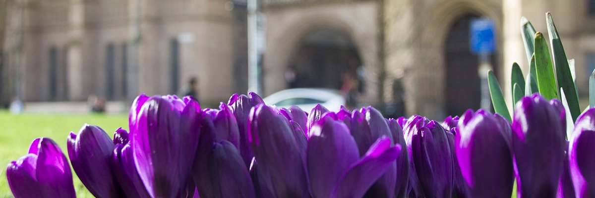 humelearning's profile banner image