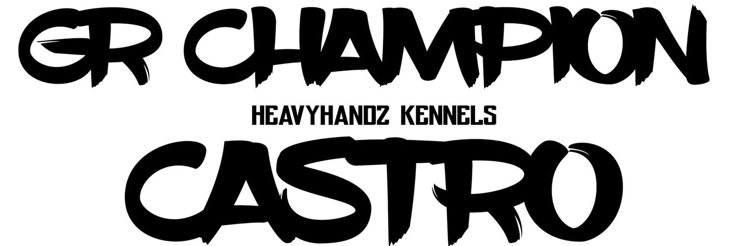 NathanLeemon's profile banner image