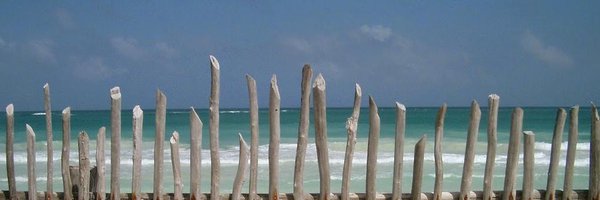 LimbachEva Profile Banner