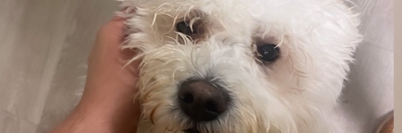 HillGlam's profile banner image