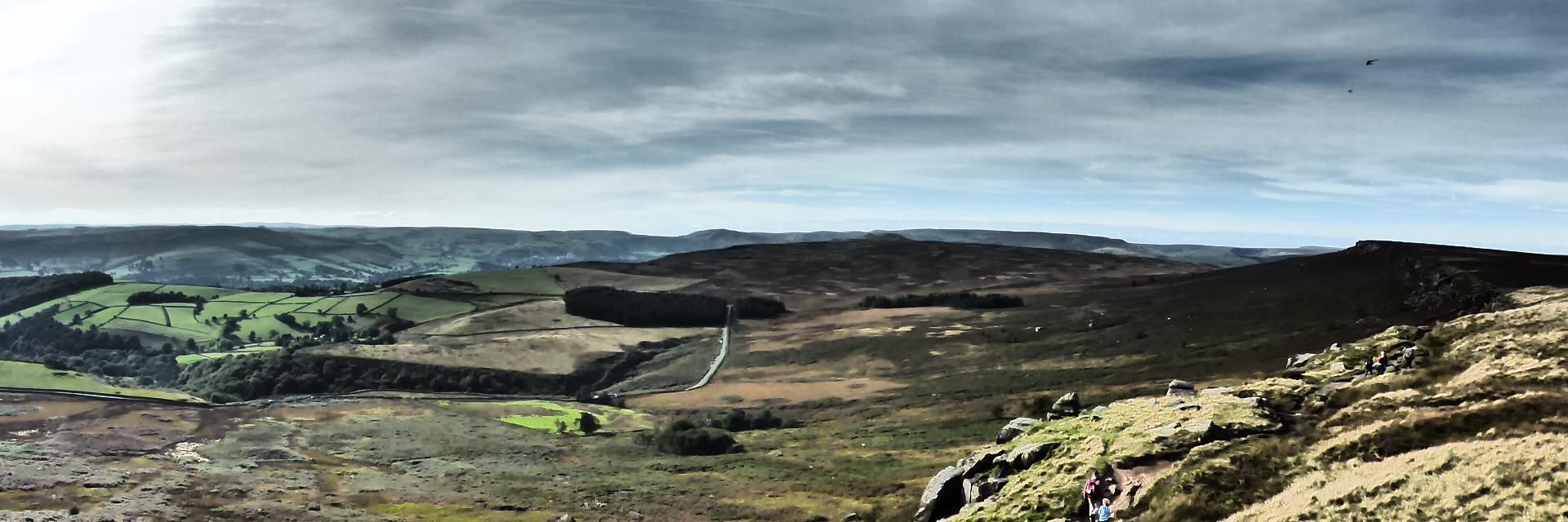 Alison Sharman banner