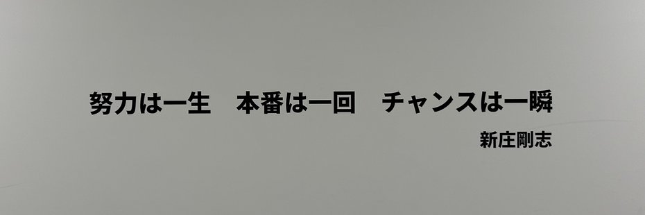 Shogo banner