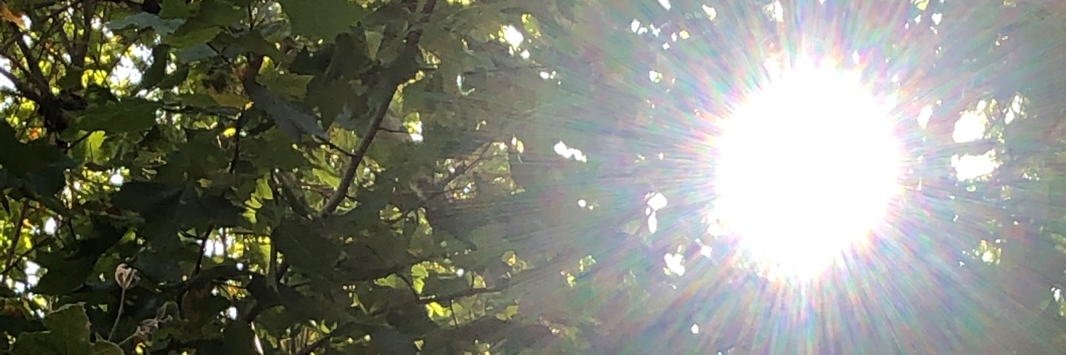 cigdemsokmen's profile banner image