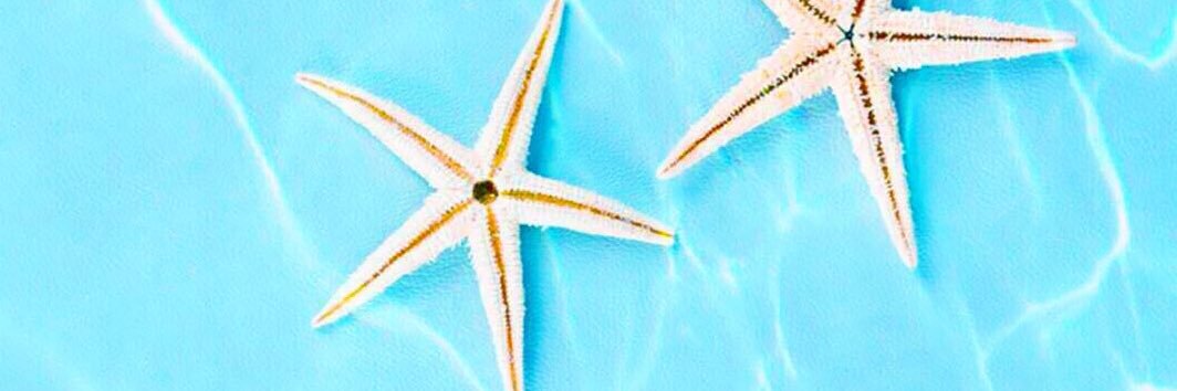 uudonnnn's profile banner image