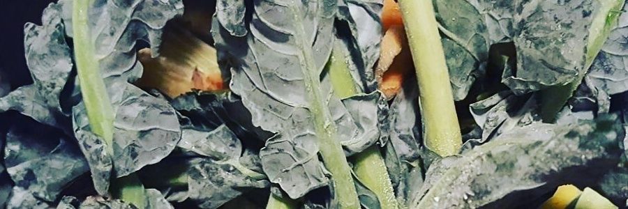 tiffoonn's profile banner image