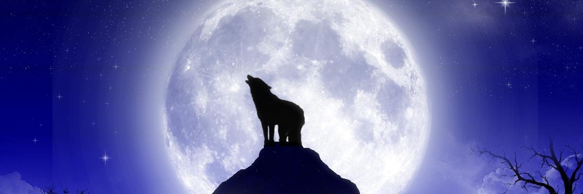 thonixx's profile banner image