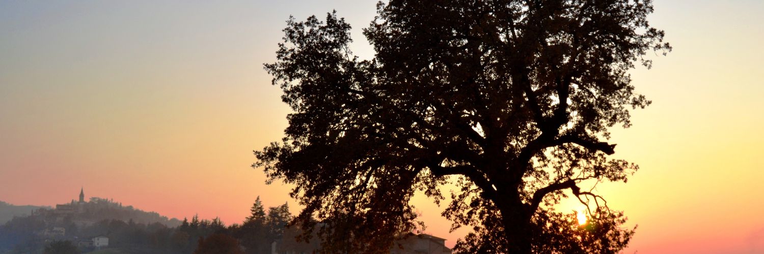 mattebonna's profile banner image