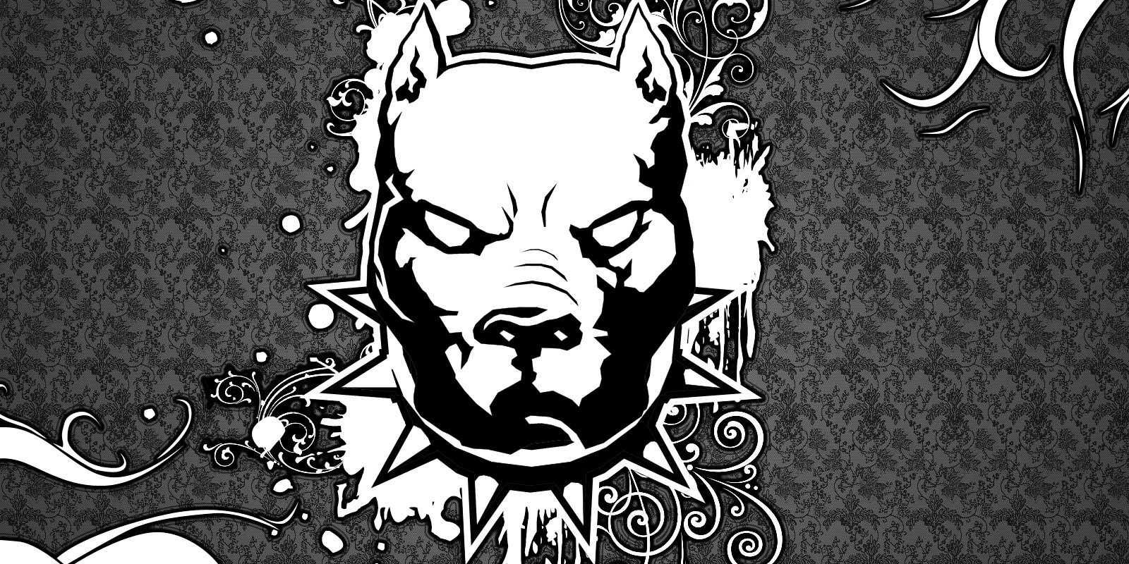 TrustMeUrWrong's profile banner image
