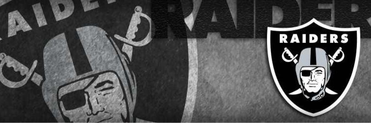 ECoastRaider's profile banner image