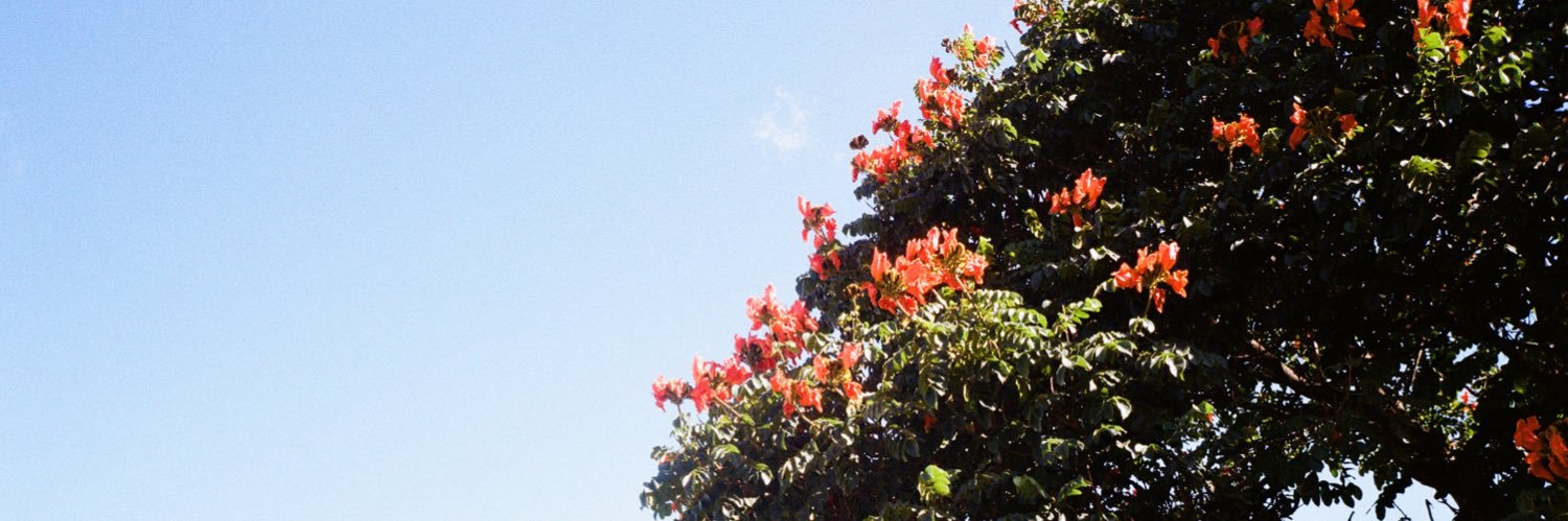 meic_34's profile banner image