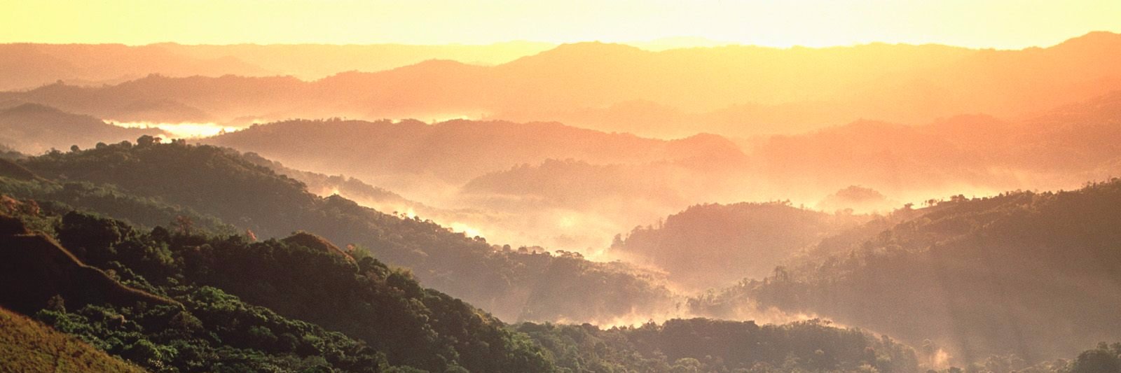 Elizabeth Sclama banner