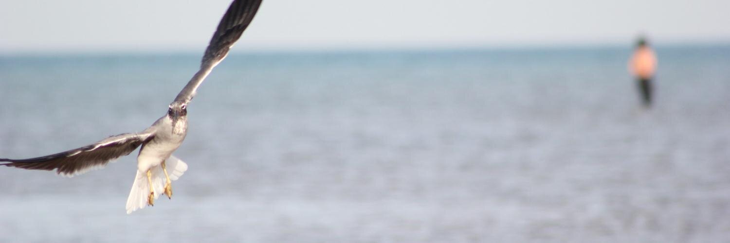 smooo24's profile banner image