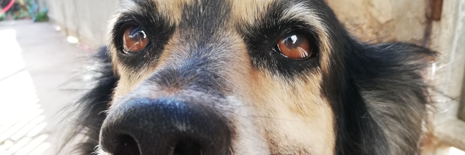 MapiRivas's profile banner image