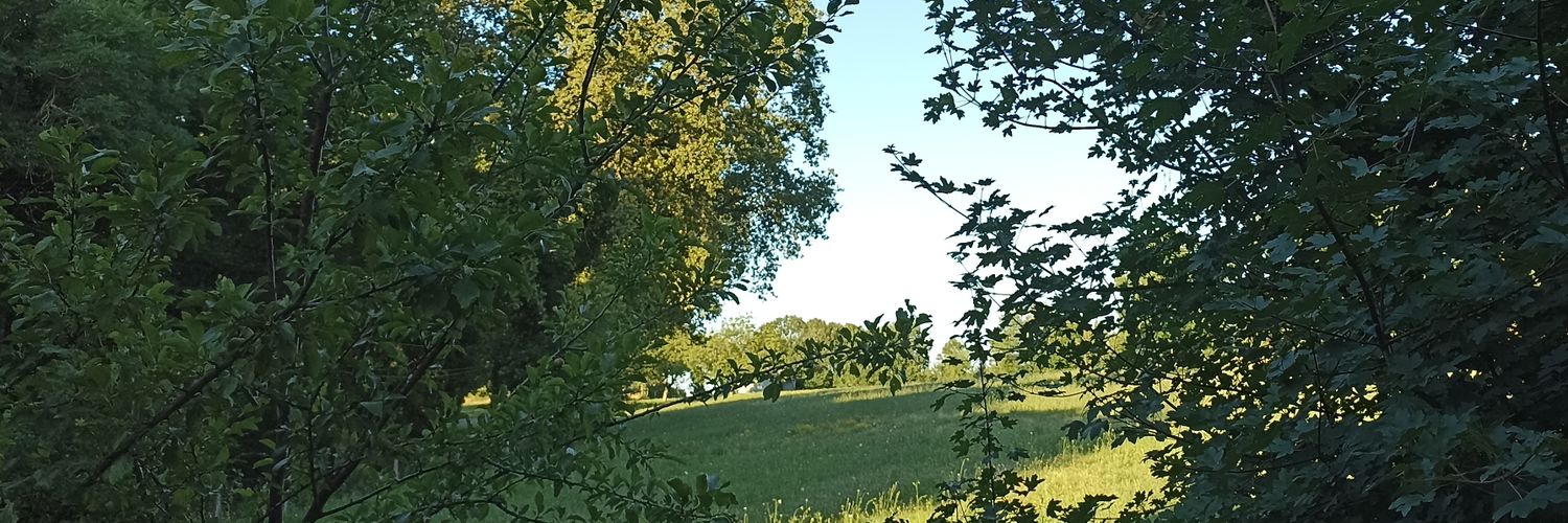 MemPaperasses's profile banner image