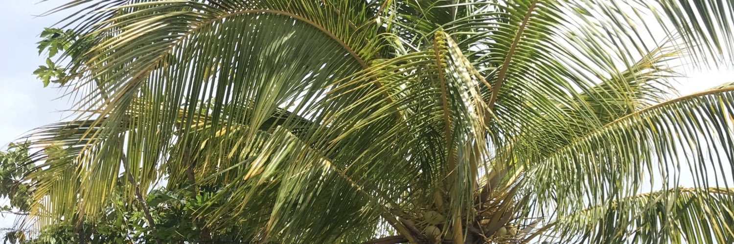 yvensho's profile banner image