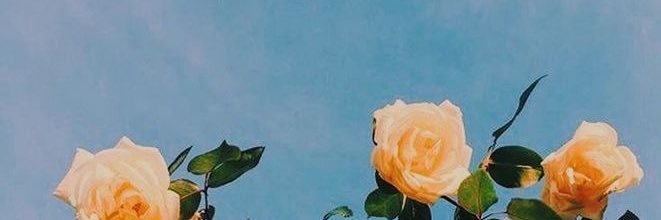 ntdply's profile banner image