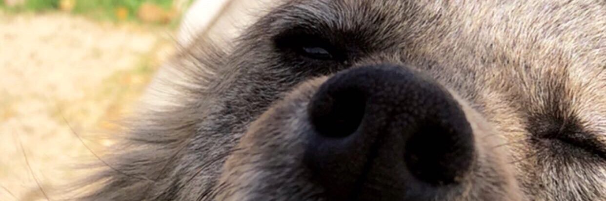 emineaktk's profile banner image