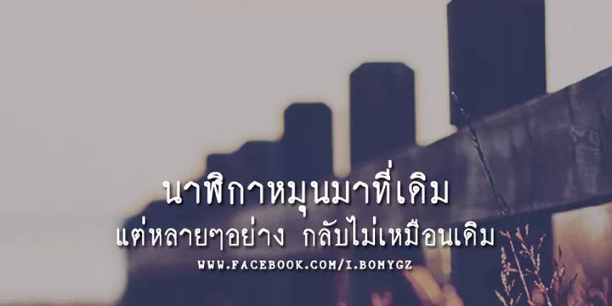 annny_sdr's profile banner image