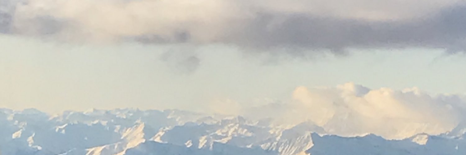 dirorhys's profile banner image