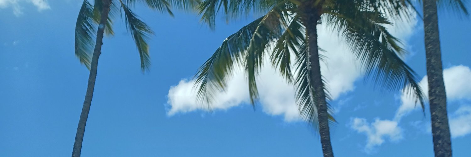 hrtsdes2006's profile banner image