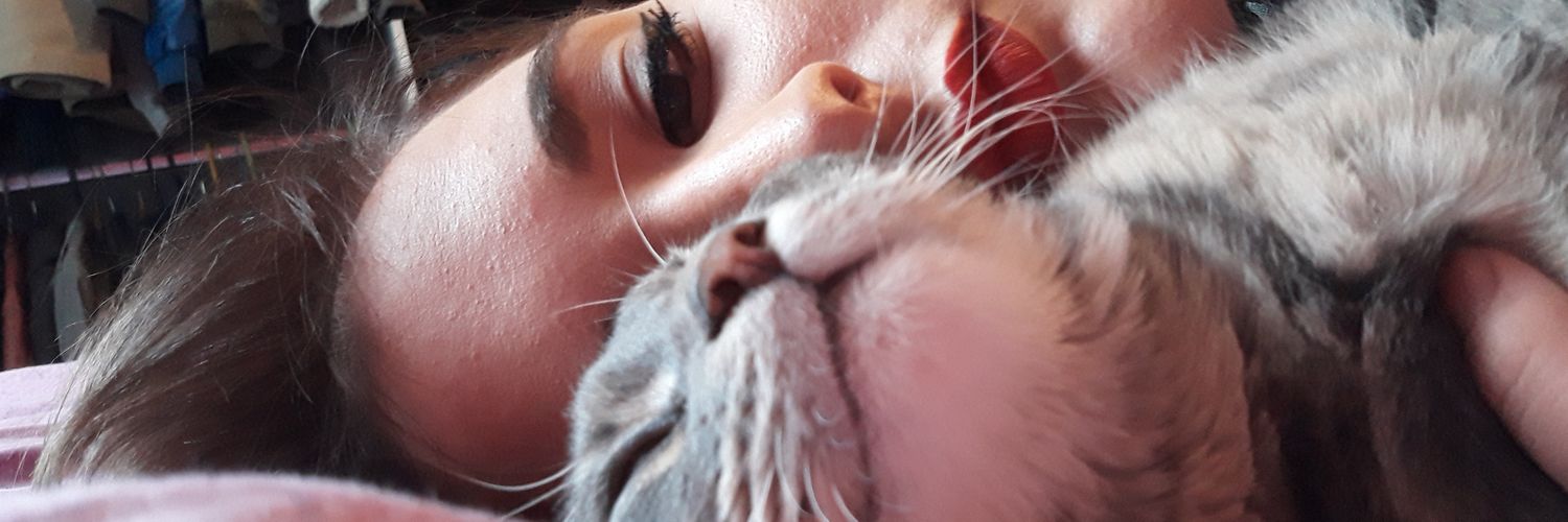 Salomout's profile banner image