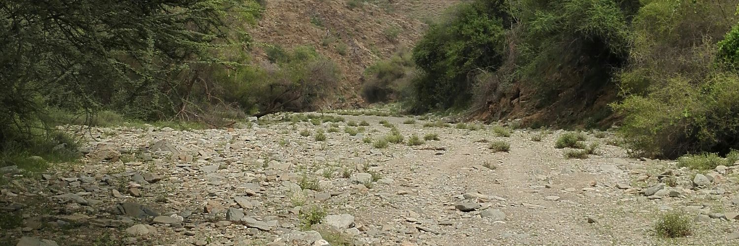 gvffvg2's profile banner image