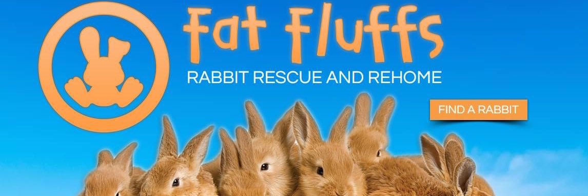 FatFluffs's profile banner image