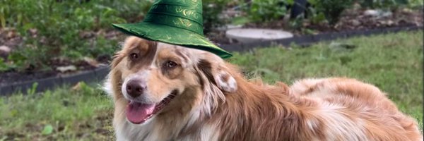 jontype Profile Banner