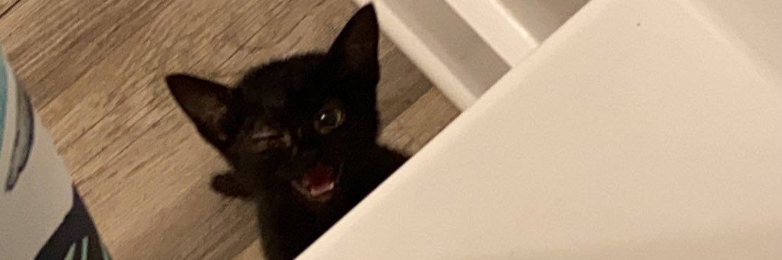 aaaaabaybay's profile banner image