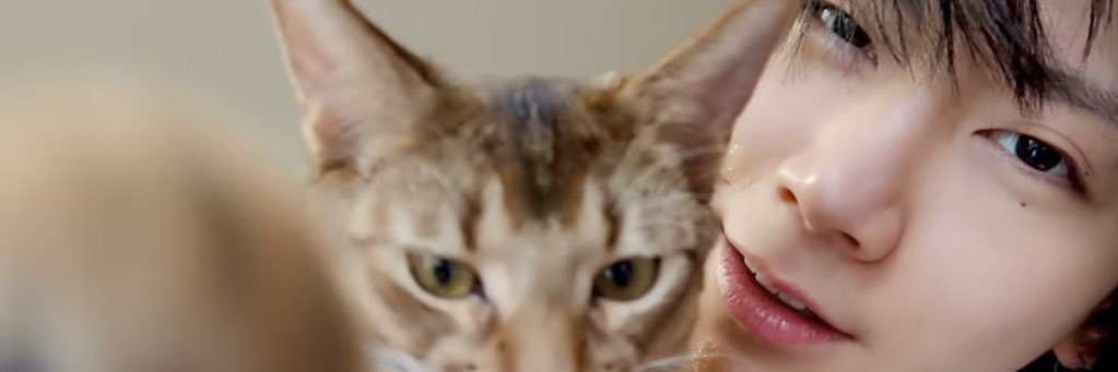 sldfz's profile banner image