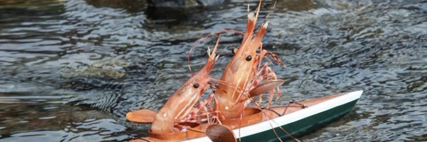 ApisTrapis's profile banner image