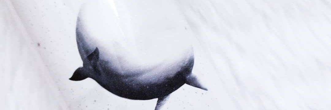 K's banner