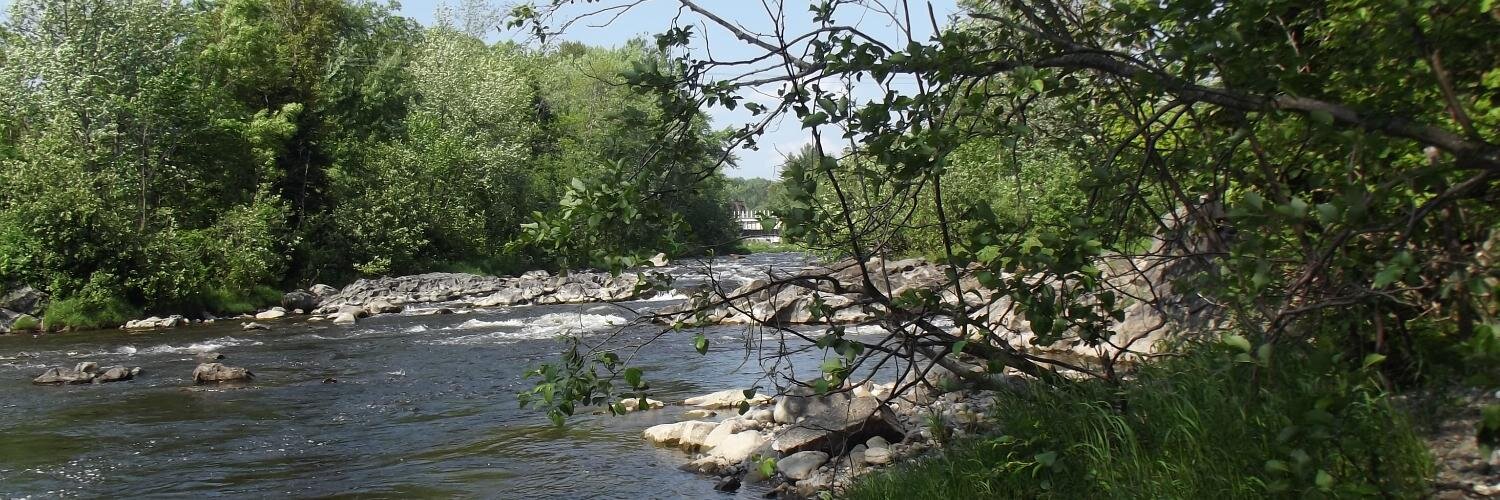 lahonton's profile banner image