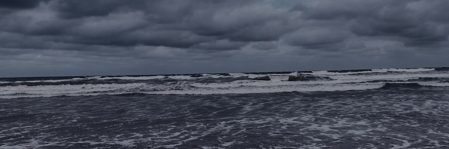 elennnm's profile banner image