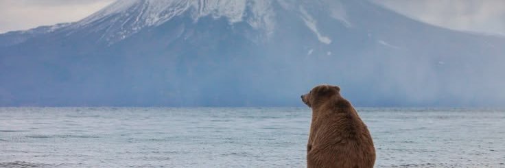 no_baingan's profile banner image