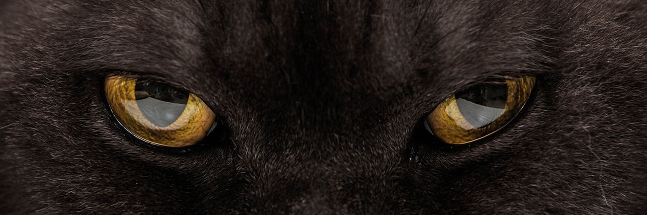 theJefkeltech's profile banner image
