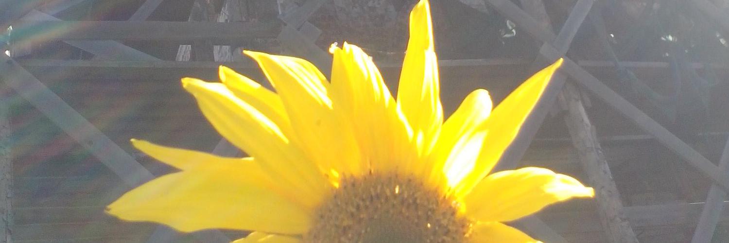 Olenka1108's profile banner image