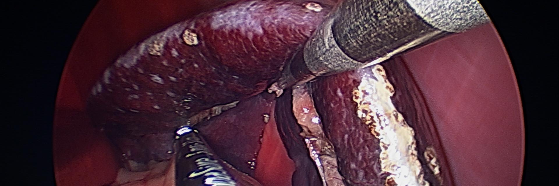 OVC Singh Lab banner